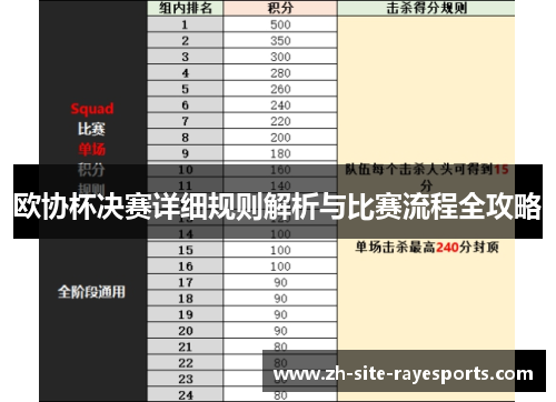欧协杯决赛详细规则解析与比赛流程全攻略