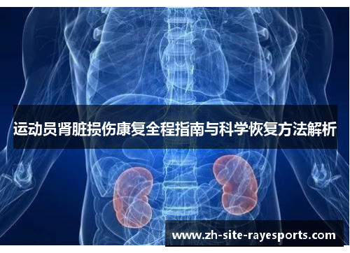 运动员肾脏损伤康复全程指南与科学恢复方法解析