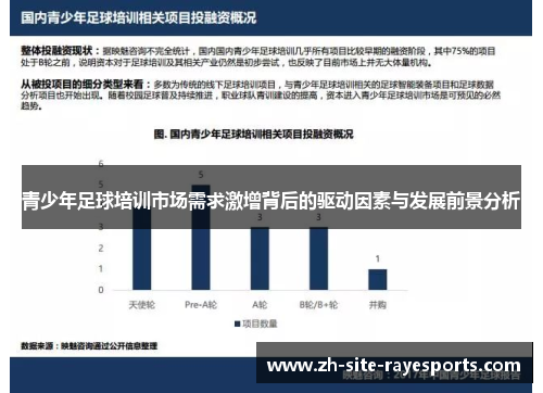 青少年足球培训市场需求激增背后的驱动因素与发展前景分析