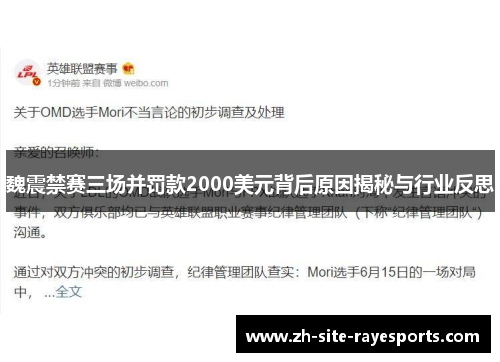 魏震禁赛三场并罚款2000美元背后原因揭秘与行业反思