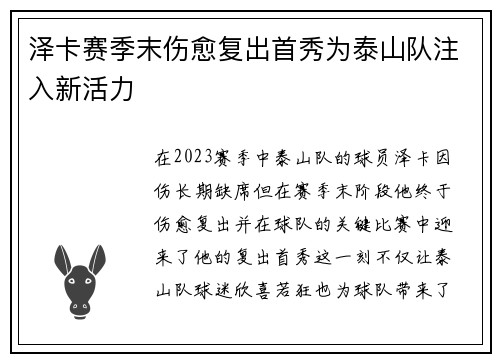 泽卡赛季末伤愈复出首秀为泰山队注入新活力 泽卡赛季末伤愈复出首秀为泰山队注入新活力