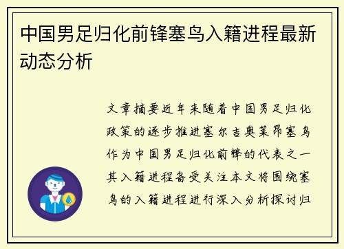 中国男足归化前锋塞鸟入籍进程最新动态分析