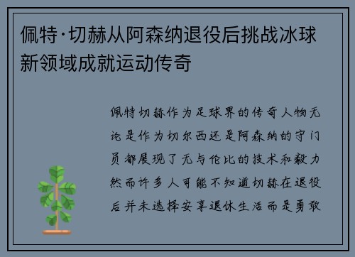 佩特·切赫从阿森纳退役后挑战冰球新领域成就运动传奇